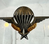 French Paratroopers Bret Badge
