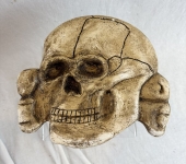 Plaster Skull