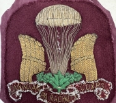 1st Canadian Para Veterans Blazer Crest
